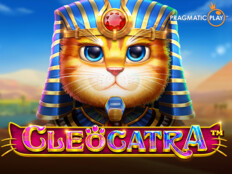 Bedava slot casino oyunları49